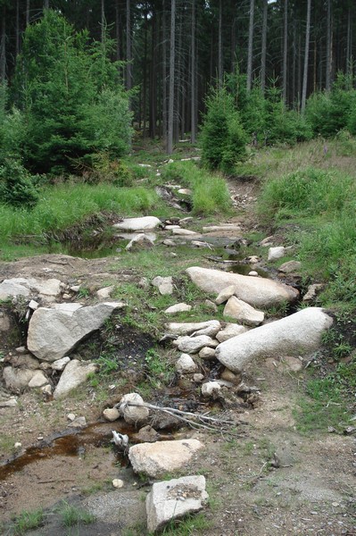 Weg nach Schierke, vom CP Juli 08