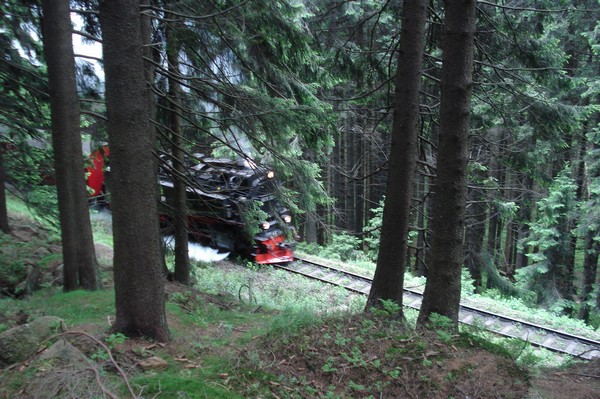 Wanderung Schierke-Brocken-Schierke Juli 2008