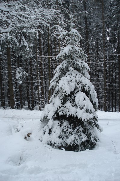 Brockenfahrt, Ostern 2008