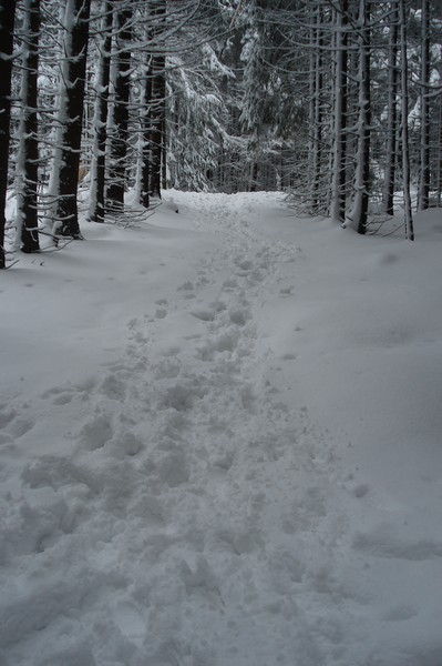 Brockenfahrt, Ostern 2008