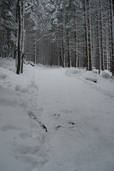 Brockenfahrt Ostern 2008