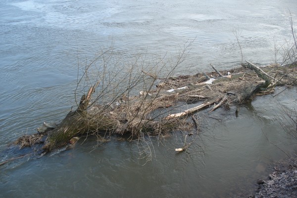 Hochwasser in Jessnitz 18.3.09