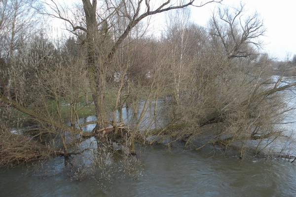 Hochwasser in Jessnitz 18.3.09