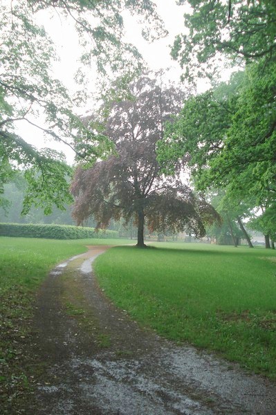 Irrgarten Altjessnitz