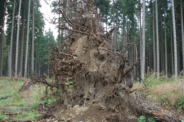 Wanderung Elend nach Schierke 2008