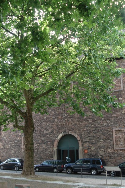 Heidelberg, Aug.2008