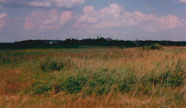 rund um den Ringkobing Fjord 1999