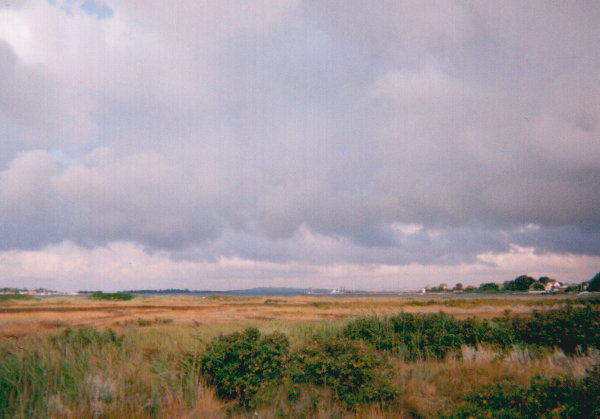 Kirkholm 1995