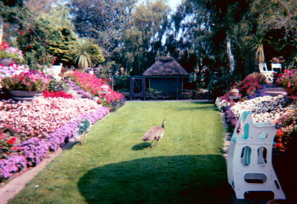 Jesperhus Blomsterpark 1996