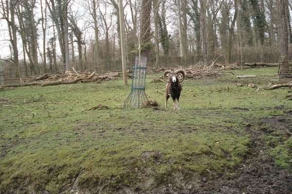 Tierpark Kthen 29.3.09