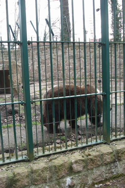 Tierpark Kthen Mrz 2009