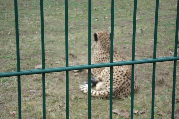 Tierpark Berlin 5.4.09