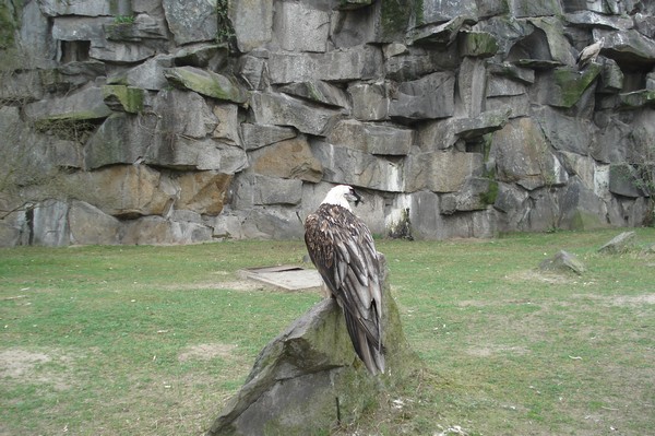 Tierpark Berlin 5.4.09