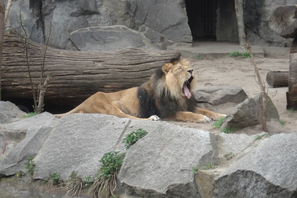 Tierpark Berlin 5.4.09