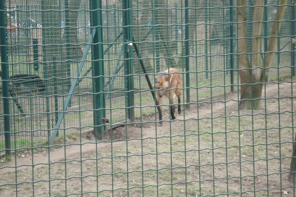 Tierpark Berlin 5.4.09