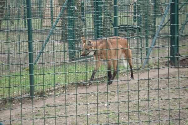 Tierpark Berlin 5.4.09