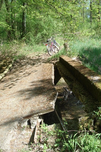 Radwanderung am 19.4.09