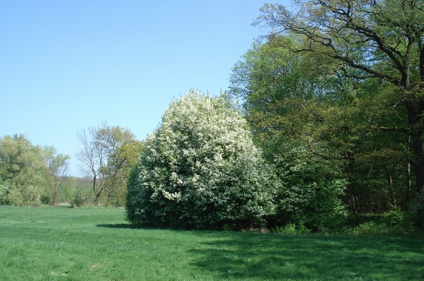 Radwanderung am 19.4.09
