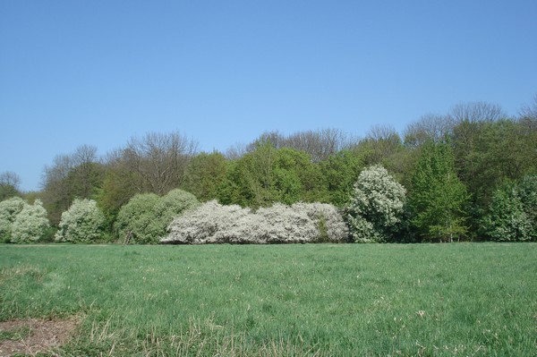 Radwanderung am 19.4.09