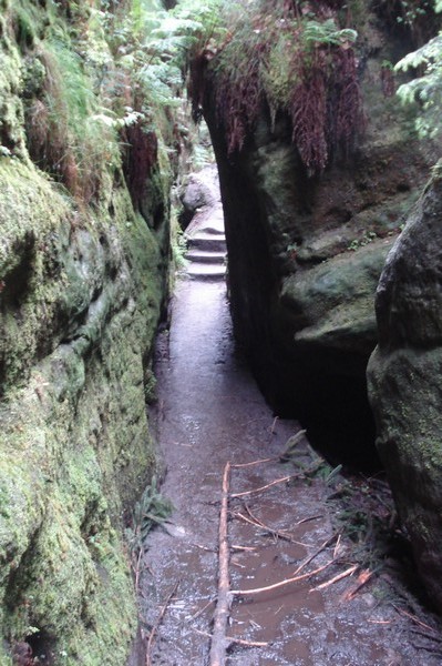 unsere Wanderung .die Treppen 31.5.09