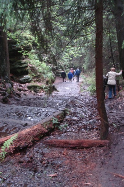 unsere Wanderung .die Treppen 31.5.09