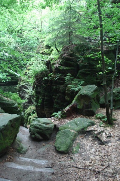 unsere Wanderung .die Treppen 31.5.09