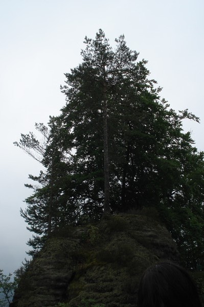 unsere Wanderung.Felsenburg Neurathen 31.5.09