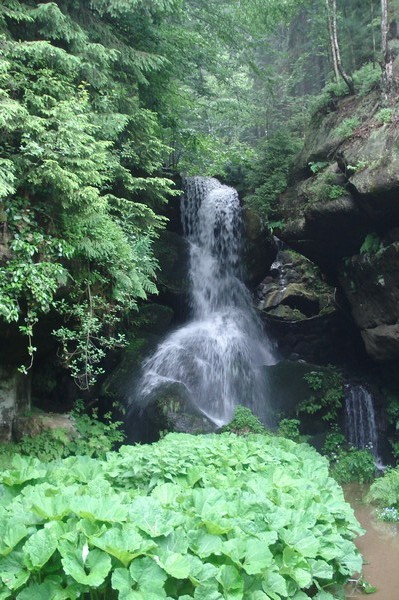 Lichtenhainer Wasserfall 31.5.09