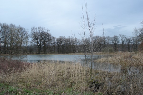 Hochwasser Mrz 09, vor dem Stausee