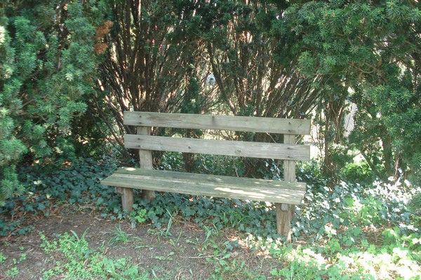 Bank in Bad Dben 2010