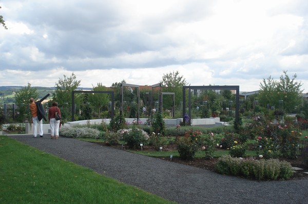 Rosarium Sangerhausen 26.7.09