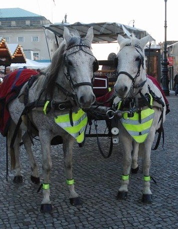 Weihnachtsmarkt am Opernpalais 25.12.08