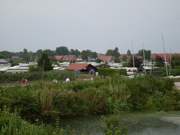 CP Dümmer See in Hüde Juli 2009