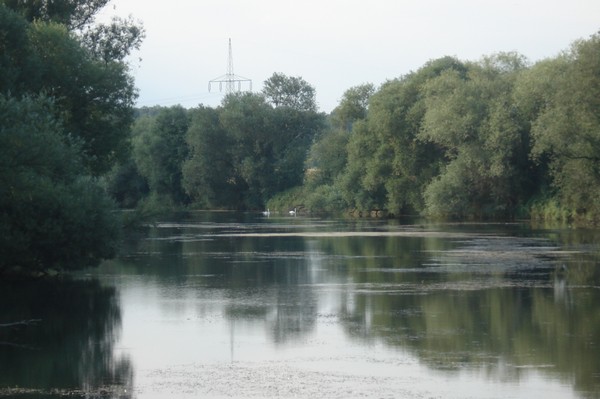 Radtour zur Goitzsche Aug.2009