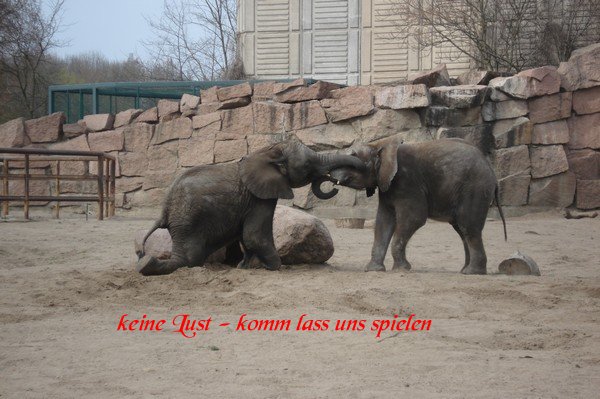 2 Jugendliche im Tierpark Berlin