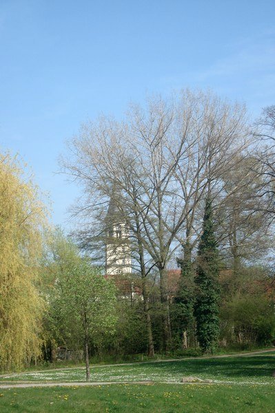 Burg in Bad Dben, April 2010