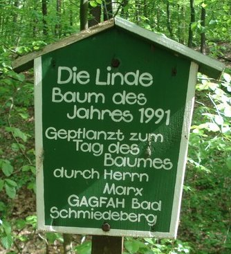 Baum des Jahres 1991