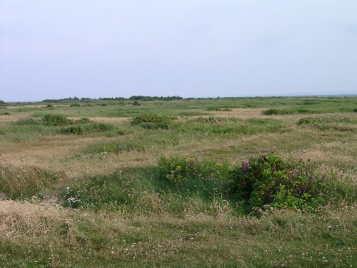 Dnemark, Landschaft auf Thyholm