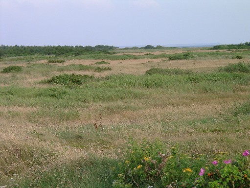 Dnemark, Landschaft auf Thyholm