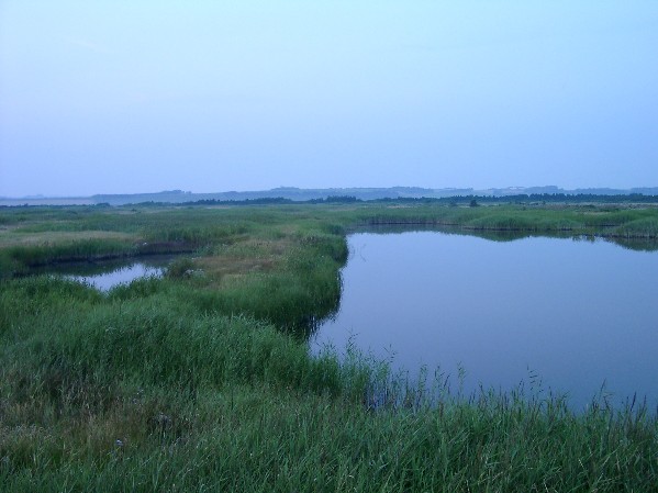 Dnemark, Landschaft auf Thyholm