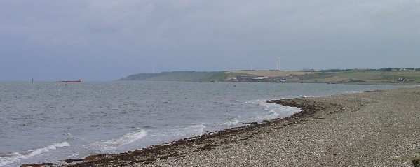 Strand Limfjord