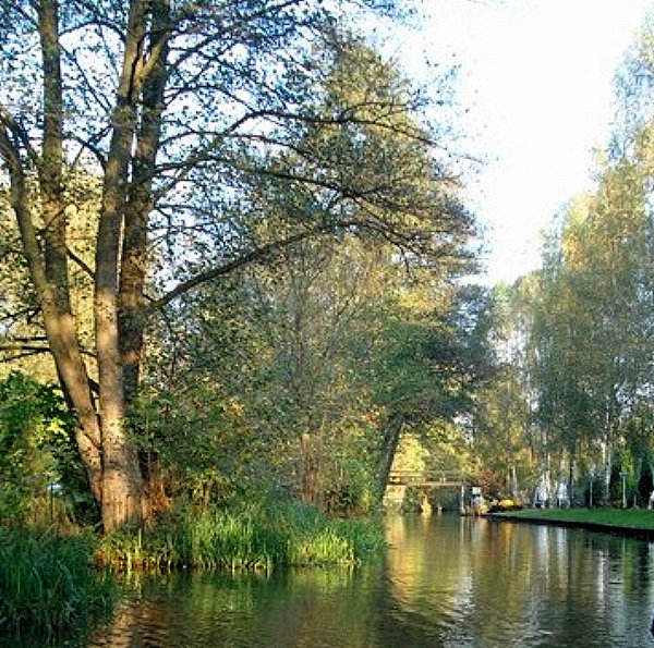 Kahnfahrt im Spreewald