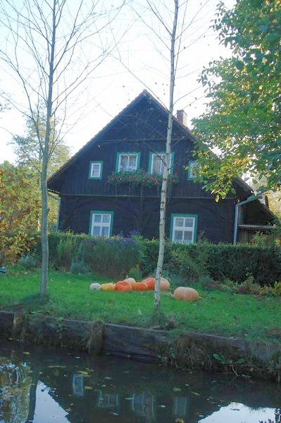 Kahnfahrt im Spreewald