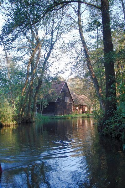 Kahnfahrt im Spreewald