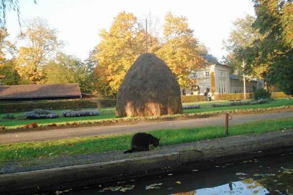 Kahnfahrt im Spreewald