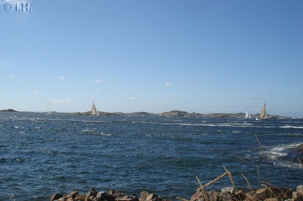 Kldesholmen auf Tjrn Schweden 2011