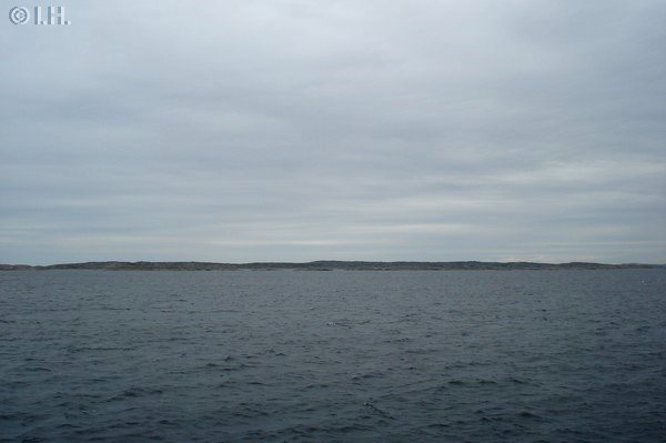 Krringn Schweden 2011