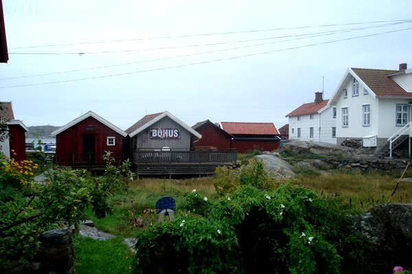 Krringn Schweden 2011