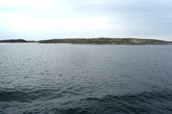 Krringn Schweden 2011