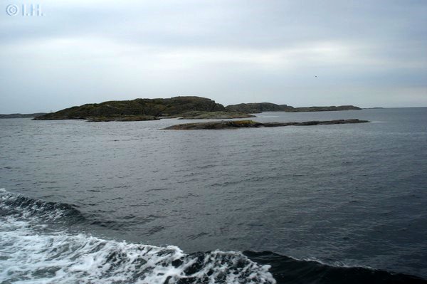 Krringn Schweden 2011